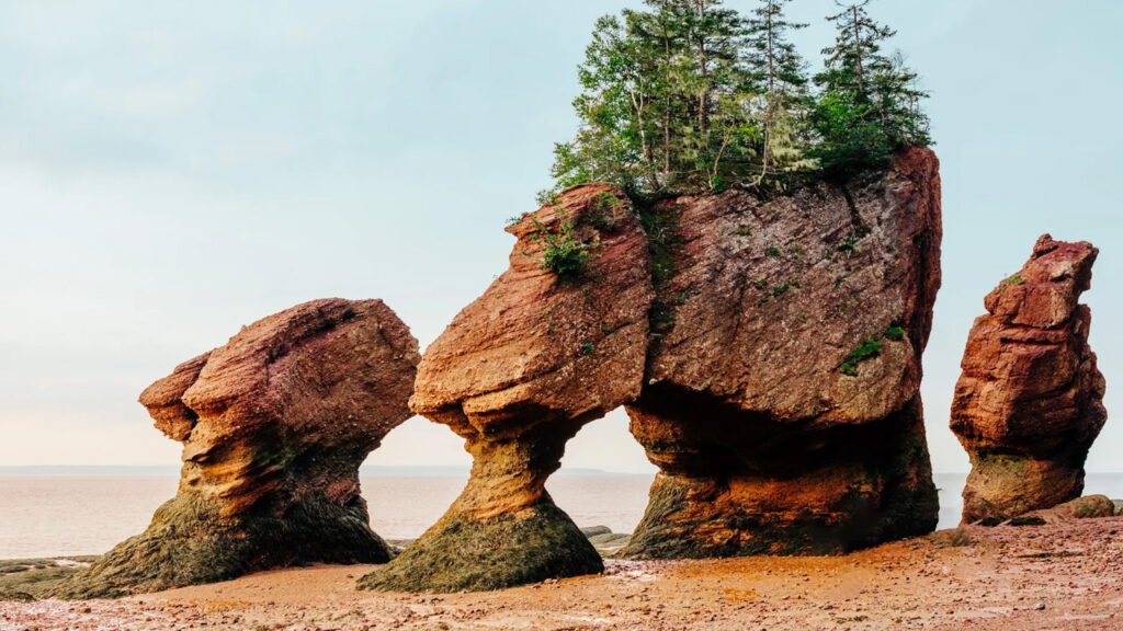 Bay of Fundy, Tourist Attractions in Canada