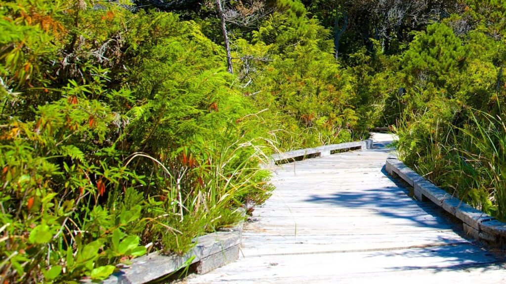 Pacific Rim National Park Reserve, British Columbia, Tourist Attractions in Canada